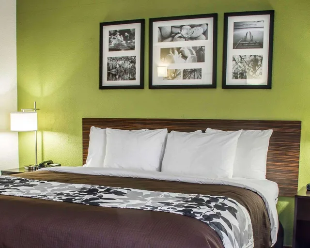 جناح بسرير كينج، Sleep Inn & Suites Cullman I-65 exit 310 4/5