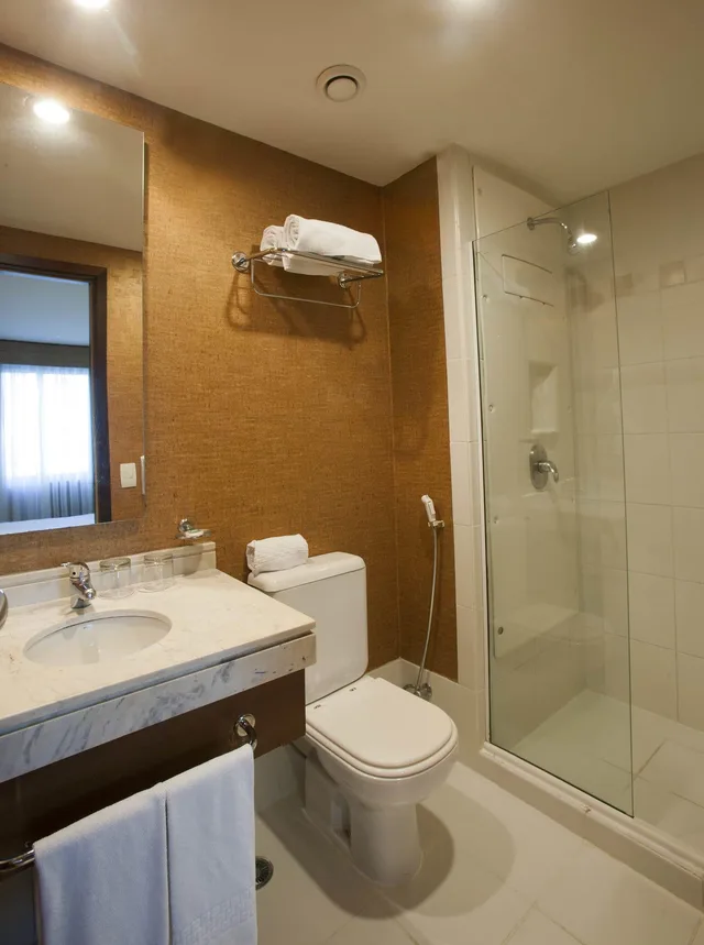 غرفة قياسية مفردة، Wyndham Sao Paulo Ibirapuera Convention Plaza Hotel 5/6
