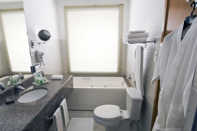 Premium, Single Bed, Holiday Inn Manaus 6/8