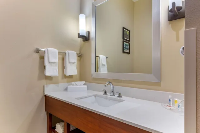 جناح بسرير كينج، Comfort Suites Greensboro-High Point 3/3