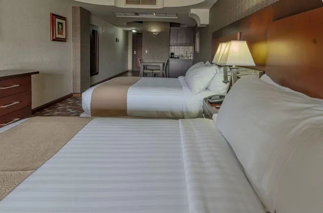 غرفة قياسية بسرير مزدوج، Plaza San Martin Hotel 6/7