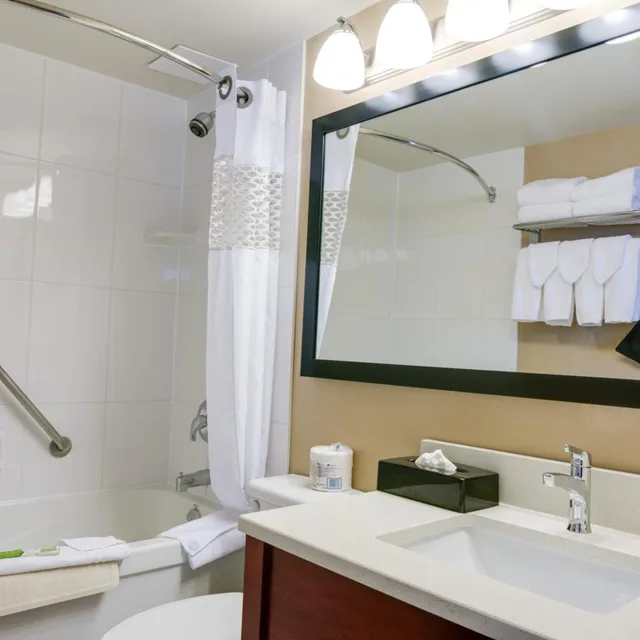 جناح بسرير كوين بجاكوزي، Best Western Plus Suites Downtown 7/10