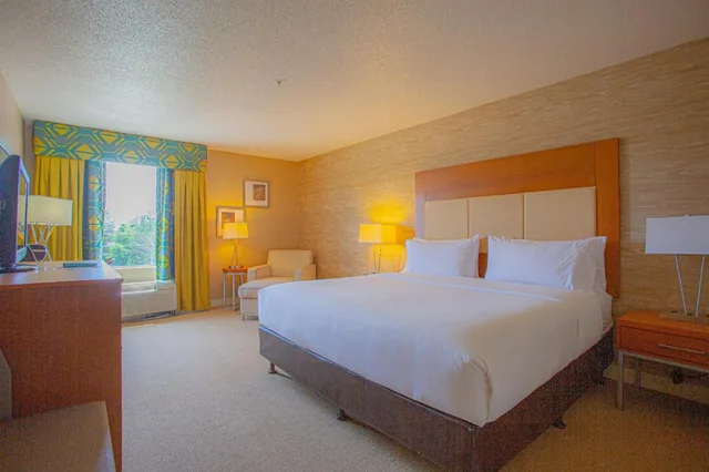 غرفة بغرفة نوم واحدة، Holiday Inn & Suites Spring - the Woodlands Area, an IHG Hotel 1/2