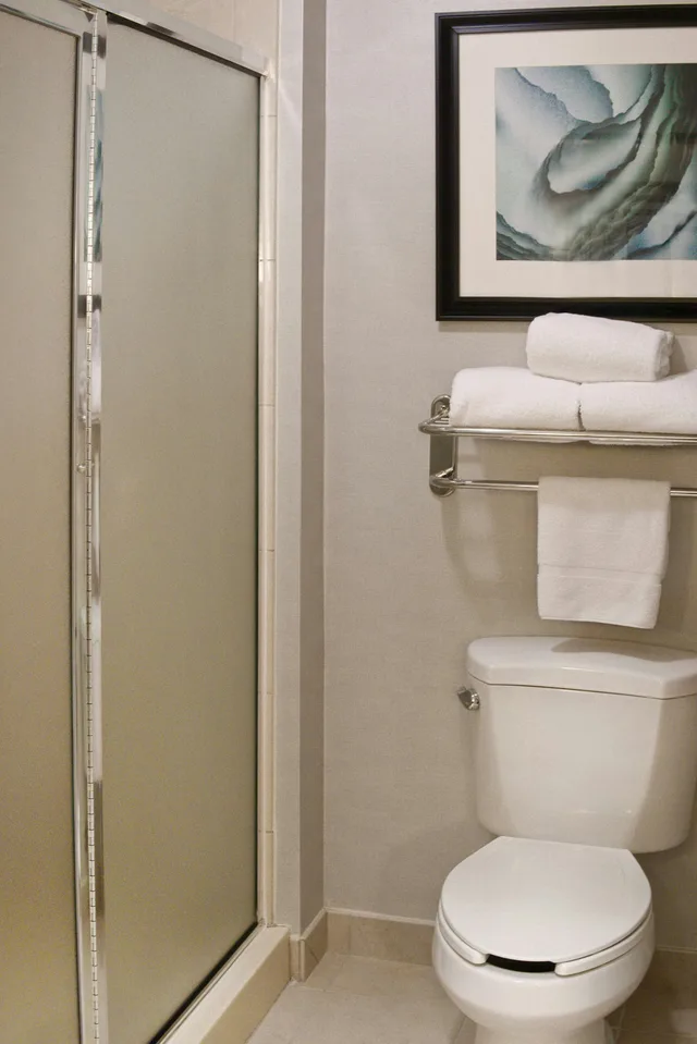 Studio, Suite, King Bed, Homewood Suites By Hilton Bentonville-Rogers 3/5