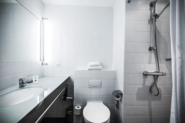 Business, Lake, Single, Queen Bed، First Hotel Kolding 1/1