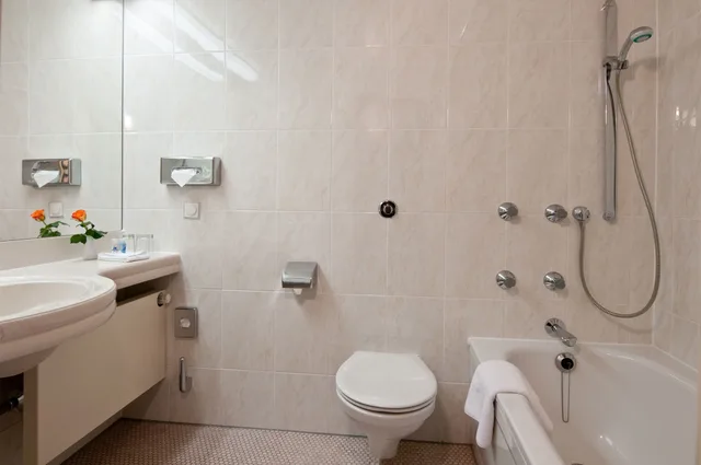 غرفة كلاسيكية مفردة بسرير مزدوج، MARITIM HOTEL MAGDEBURG 7/7