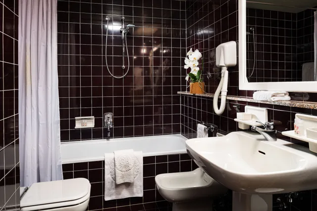 غرفة قياسية، Hotel Terme Metropole 4/6