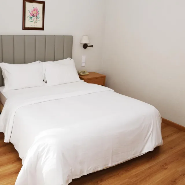 غرفة سوبيريور بسرير مزدوج، Hotel Ribadouro 4/10