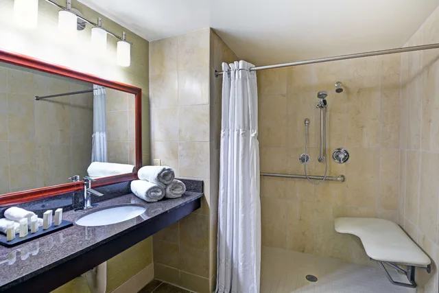 جناح بسرير كينج مع أريكة بمطبخ صغير لذوي الإعاقة، Embassy Suites Valencia 3/4