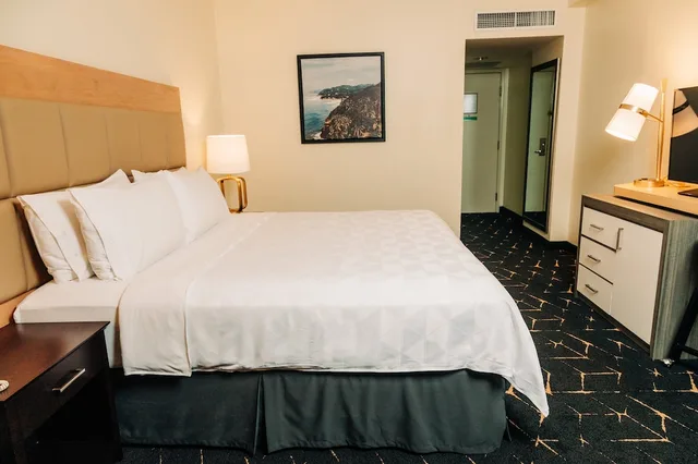 غرفة قياسية بسرير كينج، Holiday Inn San Salvador An Ihg Hotel 6/10