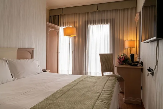 غرفة كلاسيكية مفردة بسرير مزدوج، Hotel Roxy Plaza 2/6