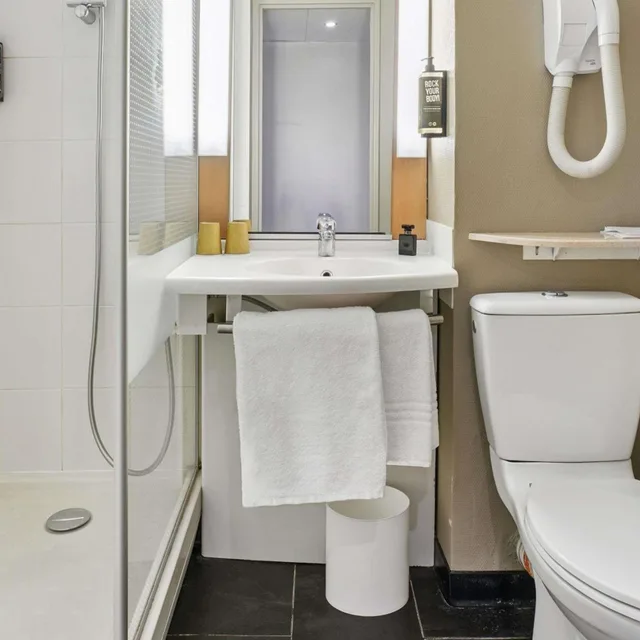 Standard, Ibis Paris Porte dOrleans 9/9