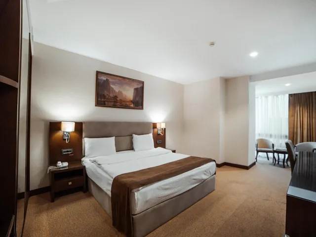 غرفة قياسية بسرير كوين، Diamond Hotel Baku 2/9