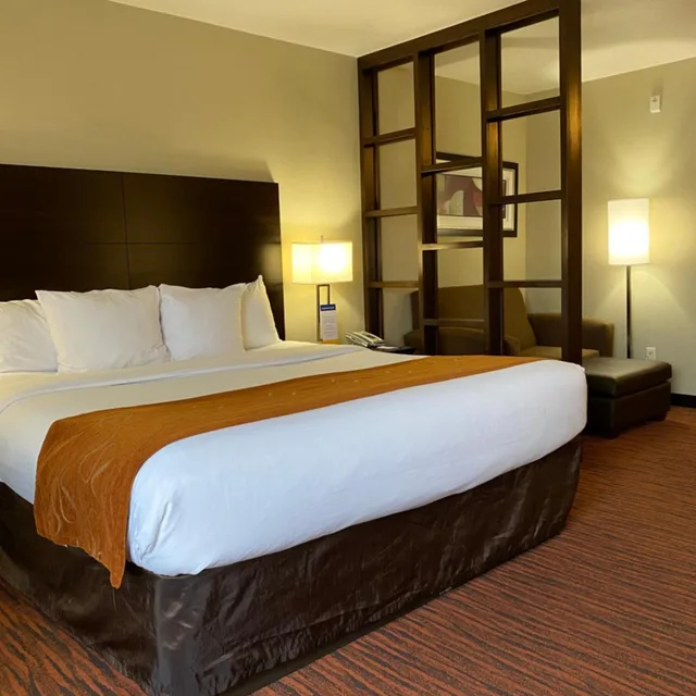 غرفة قياسية بسرير كينج لذوي الإعاقة، Comfort Suites Clovis - Fresno 3/8