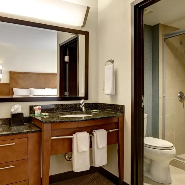غرفة بسرير كينج مع أريكة في طابق مرتفع، Hyatt Place UC Davis 3/4