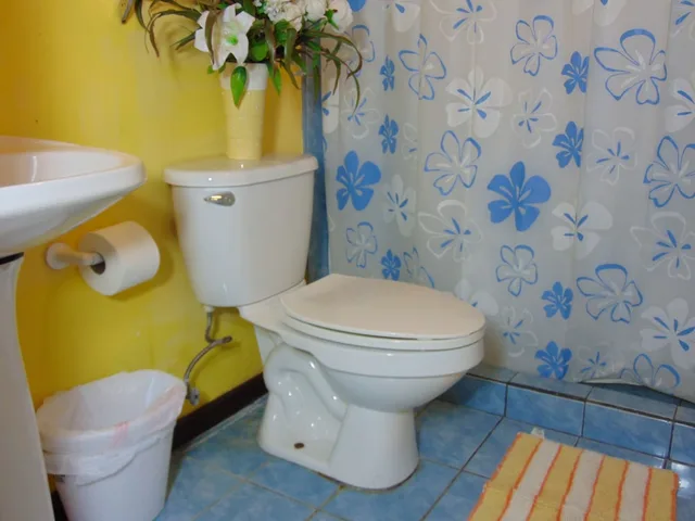 غرفة قياسية بسرير كوين بغرفة نوم واحدة، Casa Lima Bed & Breakfast 1/1