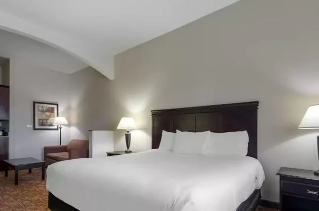 غرفة قياسية بسرير كينج لذوي الإعاقة، Comfort Inn Suites Denison North Lake Texoma 1/1