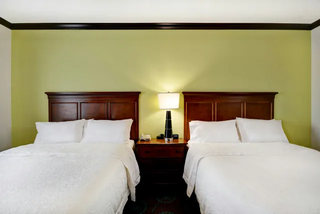 استوديو بسريرين كوين مع أريكة، Hampton Inn & Suites San Antonio/Northeast I-35 2/3