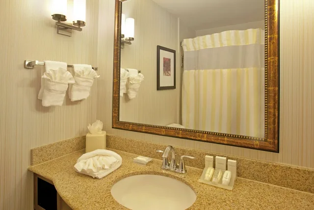 غرفة بسريرين كوين بحوض جاكوزي لذوي الإعاقة، Hilton Garden Inn Minneapolis Eden Prairie 4/5