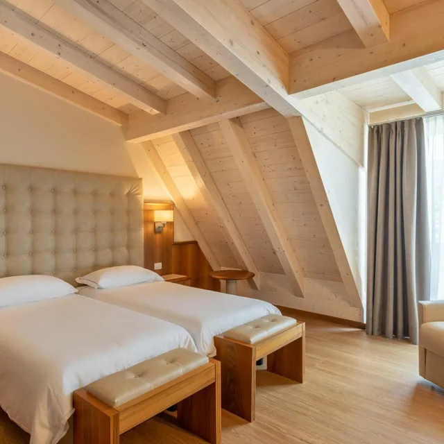 غرفة سوبيريور بسرير مزدوج، Royal Suite 3/9