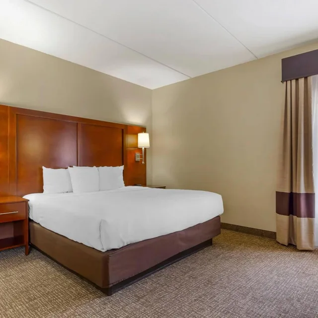 جناح تنفيذي بسرير كينج، Comfort Suites Regency Park 2/6