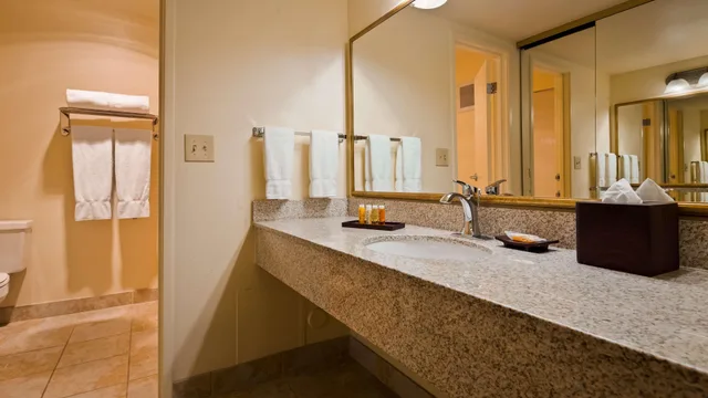 غرفة قياسية بسرير كينج، Best Western Plus Royal Oak Hotel 8/9