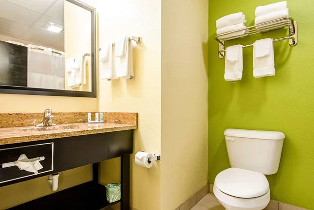 Efficiency, King Bed, Quality Inn & Suites Glenmont - Albany South 1/1