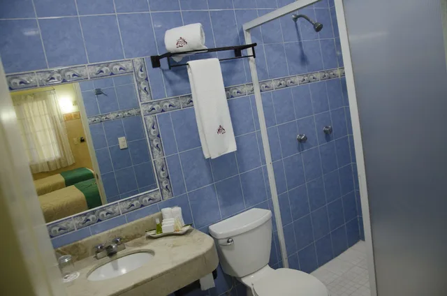 غرفة أساسية مفردة بسرير مزدوج، Hotel Plaza Poblana 6/6