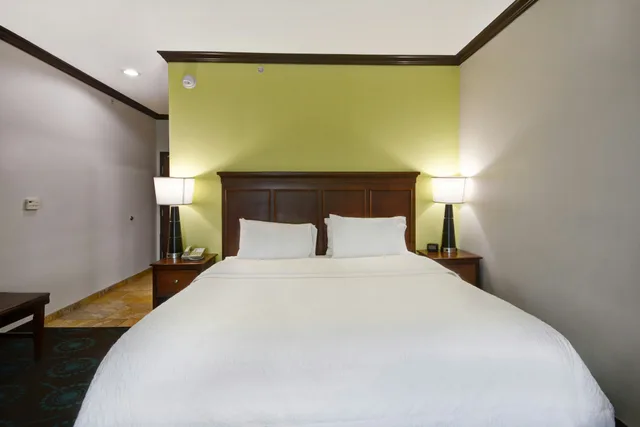 Study, King Bed, Sofa، Hampton Inn & Suites San Antonio/Northeast I-35 1/5