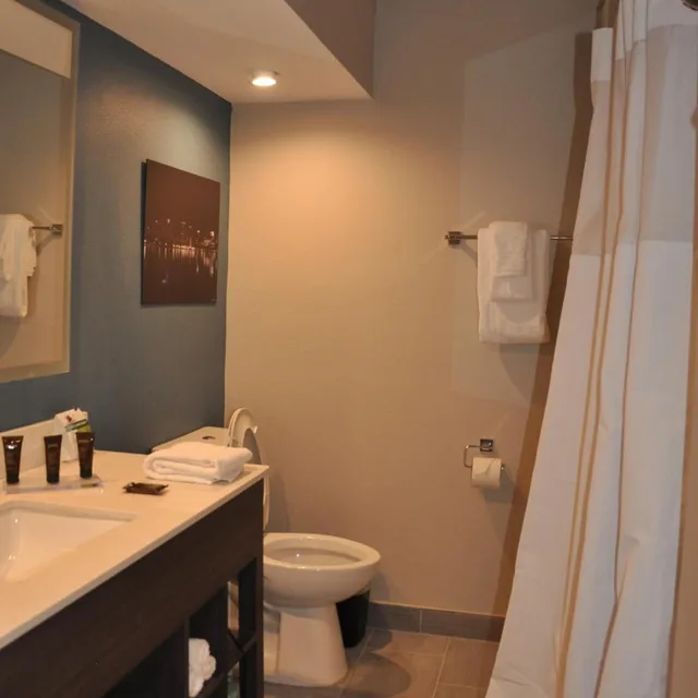 غرفة بسرير كينج لذوي الإعاقة، Nobile Hotel Parkway at Celebration Orlando 3/4