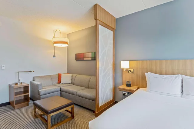 غرفة بسرير كينج بإطلالة على الجبل مع أريكة، Doubletree By Hilton Asheville Downtown 4/8