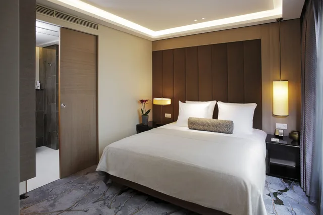 جناح بريميير بسرير كينج، Tangla Hotel Brussels 1/2