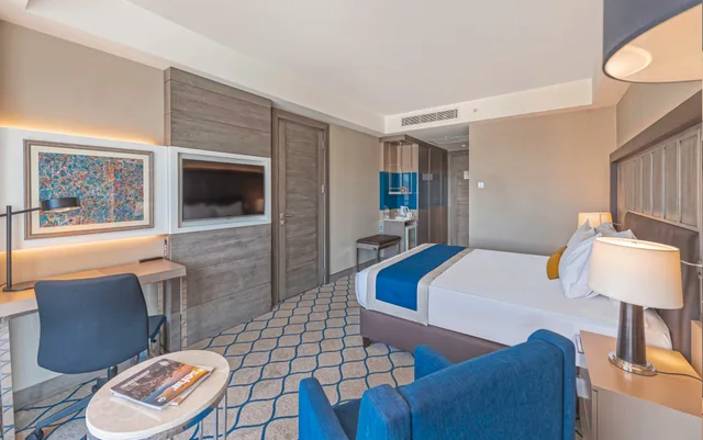 غرفة قياسية بسرير كينج، HOLIDAY INN KAYSERI - DUVENONU 6/6