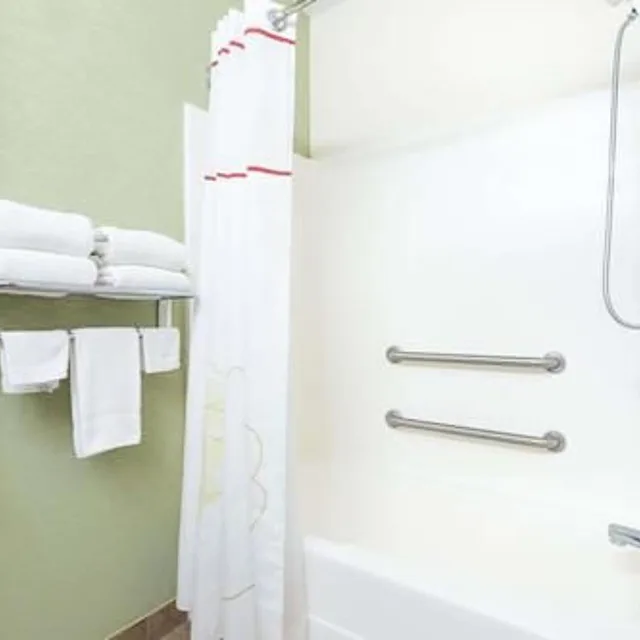 جناح بسرير كوين بغرفة نوم واحدة لذوي الإعاقة، Hawthorn Suites By Wyndham Kingsland 4/6