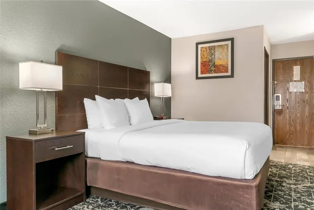 Room, King Bed, Quality Inn Grand Rapids South Byron Center 4/4