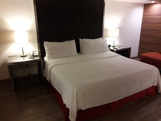 غرفة قياسية، Holiday Inn Mexico Zona Centro by IHG 7/8