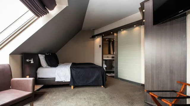 غرفة فاخرة بسرير مزدوج بإطلالة، Hotel Harmony 1/1