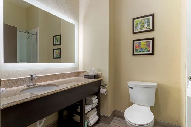 جناح بسرير كينج، Comfort Suites Kingwood Houston North 3/3