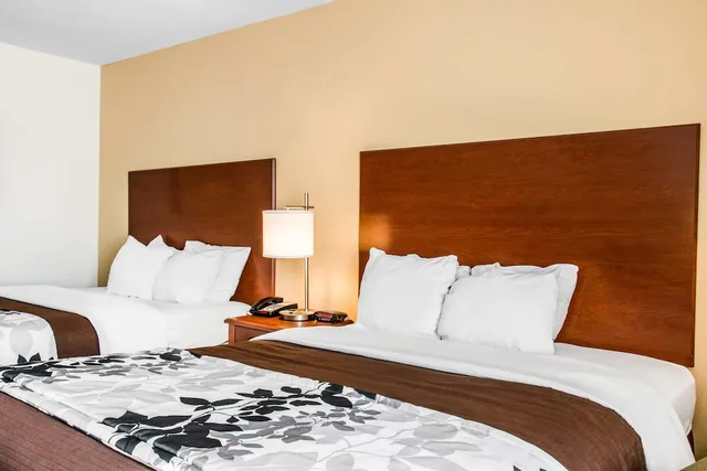 غرفة قياسية بسريرين كوين، Sleep Inn & Suites Pooler - Savannah Area 1/2