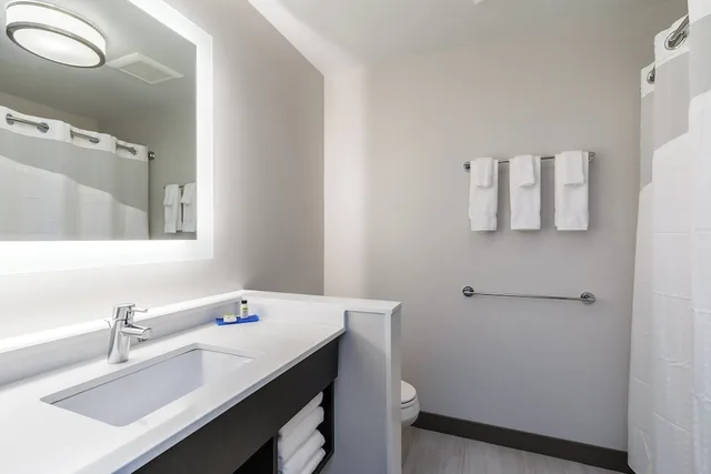 Suite, King Bed, Bathtub, Accessible, Holiday Inn Express and Suites South Bend South 2/3