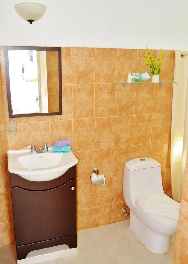 1 Bedroom, Deluxe, Suite, Partial Ocean View, Kitchen, Corales Suites 2/8