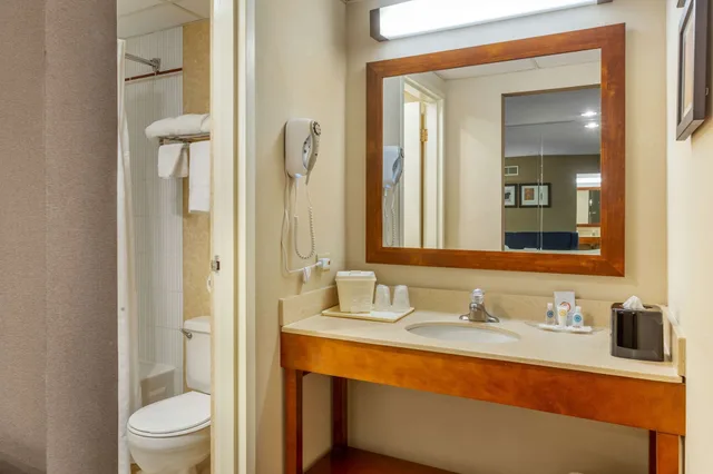 Suite, King Bed, Sofa, Accessible, Comfort Suites Oakbrook Terrace - Chicago West 2/2