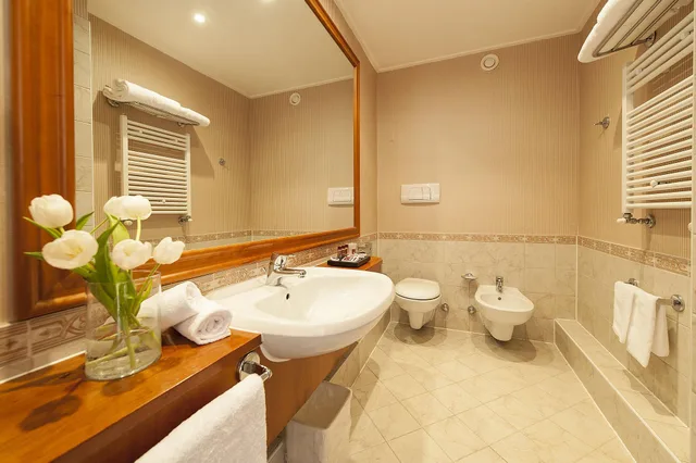 غرفة ديلوكس بسرير مزدوج، Shg Hotel De La Ville Vicenza 9/9