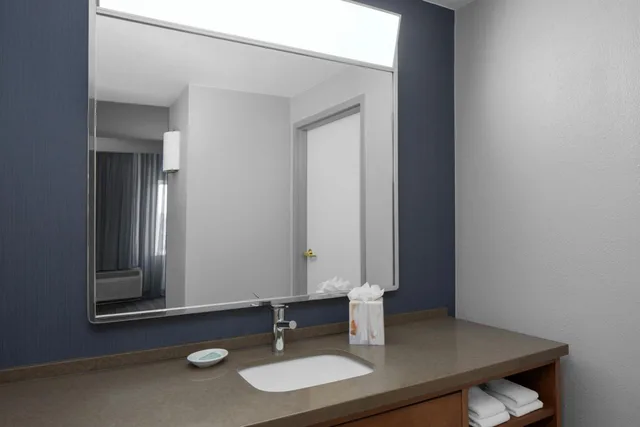 غرفة كبيرة بسرير كينج، Courtyard By Marriott Tampa Oldsmar 5/6