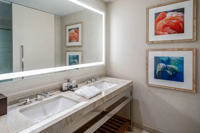 Tower, 2 Queen Beds، Gaylord Palms Resort & Convention Center 10/10