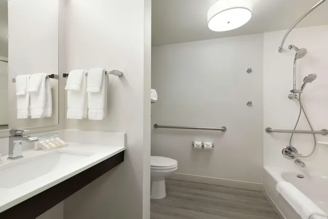 Premium, King Bed, Accessible, HILTON GARDEN INN CUPERTINO 3/3
