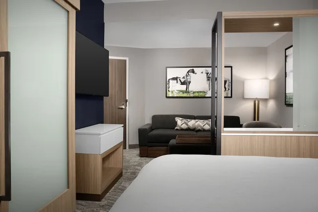 جناح بسرير كينج مع سرير سحّاب إضافي لذوي الإعاقة، Springhill Suites by Marriott Lexington Fritz Farm 1/3