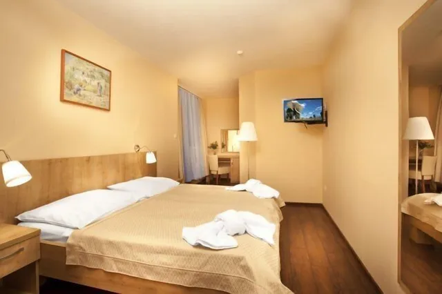 غرفة قياسية بسرير مزدوج أو سريرين منفصلين، Prague Centre Superior Hotel 7/10