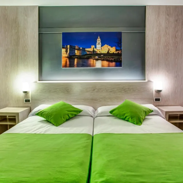 غرفة قياسية بسريرين منفصلين، Hotel Spa Rio Ucero 2/2