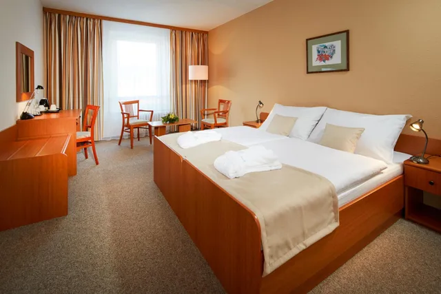 Superior, Double or Twin Bed, City View, Spa hotel Devin 2/3